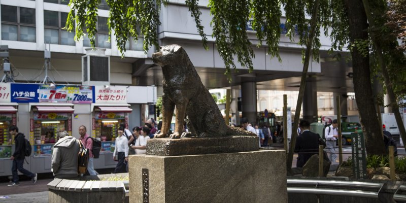 Patung Hachiko Di Jepang. Patung Hachiko di Shibuya - Shibuya, Tokyo