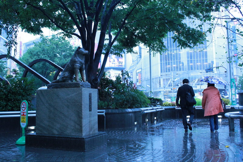 Patung Hachiko Di Jepang. Monumen Anjing Hachiko & Kesetiaan yang Mengharukan