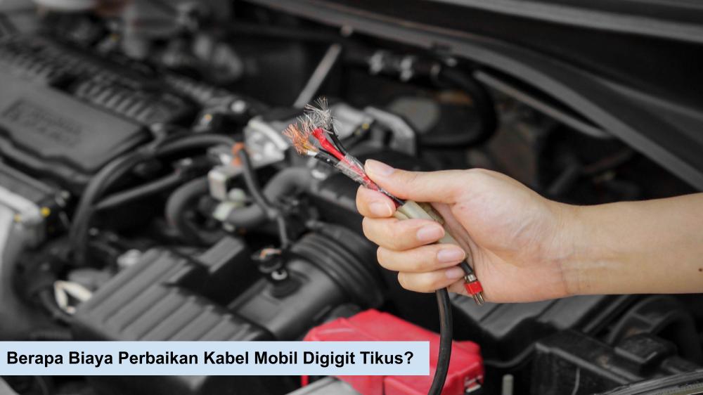 Kabel Mobil Digigit Tikus. Berapa Biaya Perbaikan Kabel Mobil Digigit Tikus? Cek di Sini