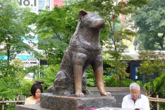 Patung Hachiko Di Jepang. Ulasan Patung Hachiko, Shibuya, Jepang