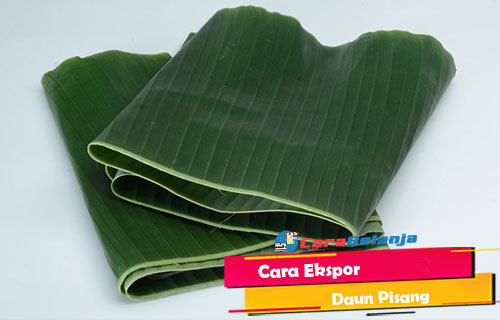 Cara Ekspor Daun Pisang. 4 Cara Ekspor Daun Pisang Ke Jepang (Syarat & Ketentuan)