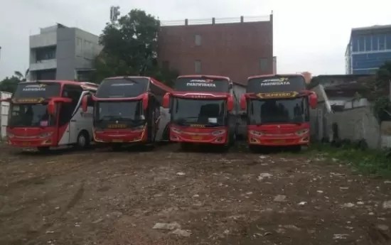 Minibus Muat Berapa Orang. Sebelum Anda Rental Bus, Kenali Dulu Jenis-jenis Bus Berikut - Berita